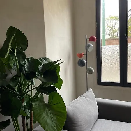 Apartement B1